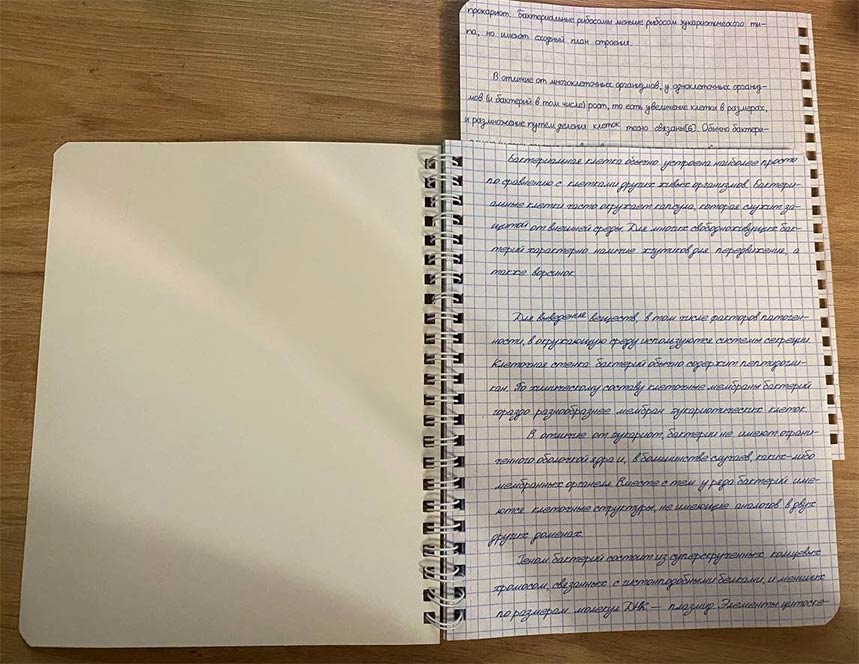 {{ $t('new.notebook_with_spring') }}